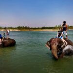 Chitwan Jungle Safari Tour